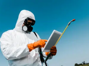 Immagine di una disinfestazione da bruco americano Un sistema di prevenzione efficace per prevenire futuri infestazioni da bruco americano