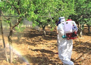 Disinfestazione lutilizzo di pesticidi professionali per eliminare insetti, parassiti e altri organismi dannosi