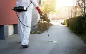 Deblattizzazione Milano scopri come fare la deblattizzazione nella città di Milano con le nostre guide e consigli utili