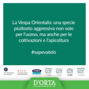 Servizio di derattizzazione professionale per le industrie alimentari proteggere la qualità e la sicurezza alimentare con metodi di disinfestazione efficaci e sostenibili