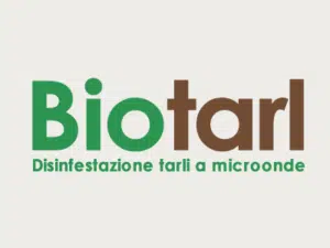 Disinfestazione casa scopri come funziona una disinfestazione completa e come prevenire i parassiti in casa tua