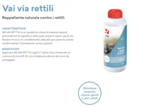 Immagine di una persona che applica un metodo naturale di disinfestazione delle lucertole, come un repellente per rettili, per prevenire linvasione domestica