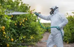 Disinfestazione Milano limportanza dei pesticidi per tenere lontane le infestazioni dalle nostre città