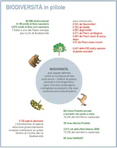 Immagine della disinfestazione processionaria, che mostra le misure prese per limitare limpatto della disinfestazione sulla biodiversità