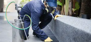 Disinfestazione zanzare condominio Le norme da seguire per una gestione efficace della disinfestazione in condominio