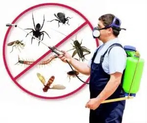 Disinfestazione zootecnica lutilizzo di disinfettanti in un allevamento per prevenire la diffusione di malattie animali
