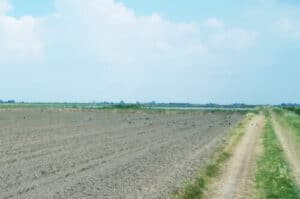Immagine di una macchina Eurodif che sparge sementi nei campi agricoli per allontanare i volatili