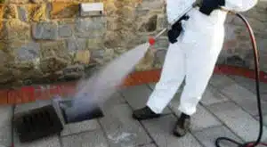 Giardini privati nel condominio la sfida di disinfestare le zanzare in modo sicuro e responsabile