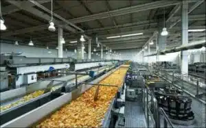 Disinfestazione HACCP tecniche di disinfestazione e derattizzazione per lindustria alimentare