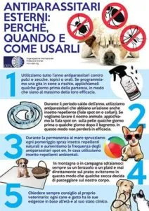 Una scatola di insetti battiscopa come parte di una strategia di profilassi parassitaria