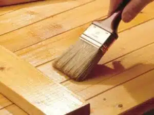Immagine di una sezione di legno con insetti che strisciano su di esso, utilizzata come riferimento per larticolo su come trattare il legno per prevenire la formazione di termiti