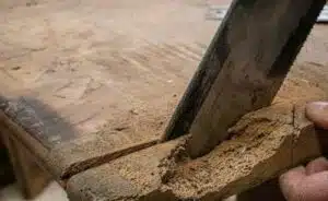 Immagine di un nido di termiti con un legno trattato come prevenzione contro le termiti