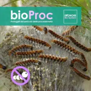 Processionaria del periodo un parassita delle piante che necessita di un trattamento tempestivo e preciso per eliminarlo Scopri come eliminare le processionarie con rimedi naturali