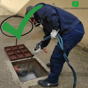 Immagine di un gruppo di scarafaggi alati che volano attorno ad una rete fognaria, simboleggiando la necessità di una disinfestazione in una rete fognaria