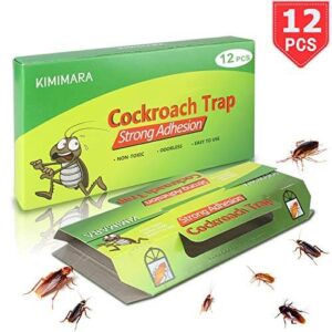 Trappola per scarafaggi con blatte allinterno
