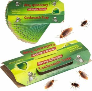 Disinfestazione degli scarafaggi costi e metodi per eliminarli