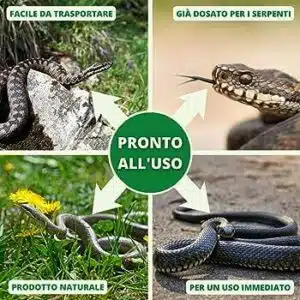 Come allontanare i serpenti fai da te unimmagine di un serpente in una posizione minacciosa mostra come i serpenti possono essere pericolosi e come è importante mantenerli lontani dalla nostra casa