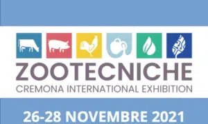 Un topo che fa le flessioni, rappresentazione di un metodo di disinfestazione zootecnica adottato dai professionisti per individuare e prevenire le infestazioni di topi