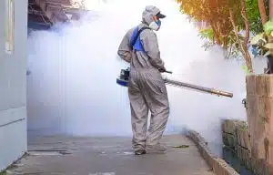 Alt testo trattamenti contro le zanzare per i giardini scopri come fare la disinfestazione contro le zanzare